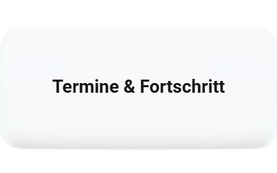 Termine und Fortschritt im Blick mit einer Projektcontrolling-Software