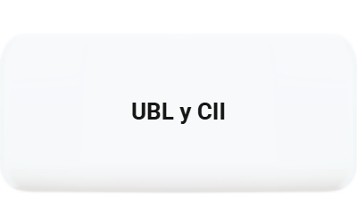 UBL y CII son las dos sintaxis admitidas en el formato XRechnung